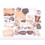 A collection of minerals, fossils and natural history specimens to include quartz, fossilized