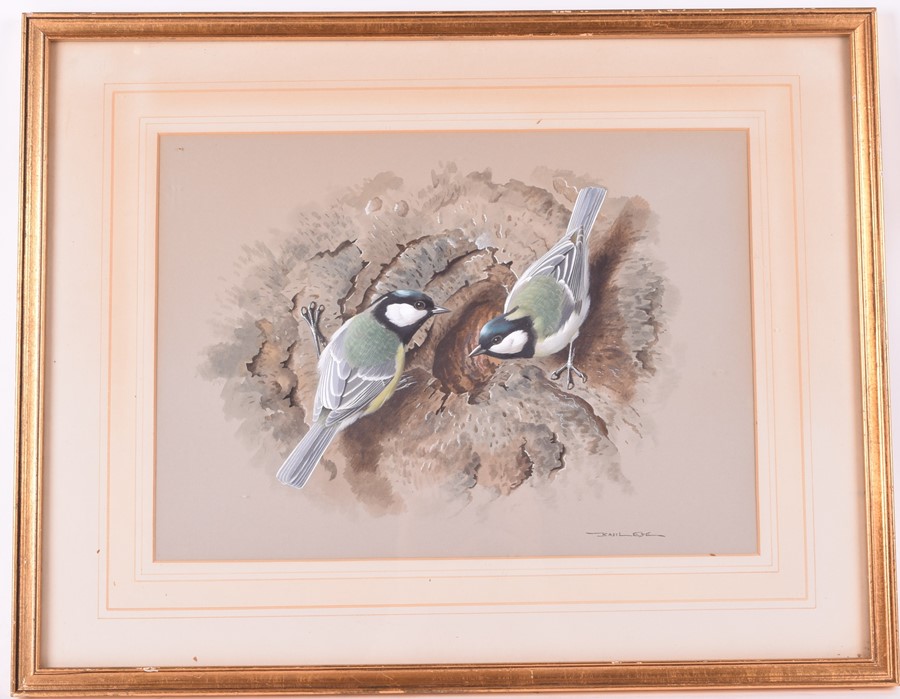 Basil Ede (1931-2016) British 'Great Tits at Nest Site' c.1964, signed lower right, framed. 36cm x