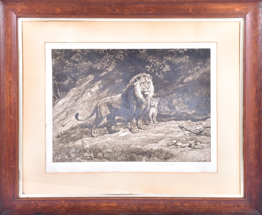 Herbert Thomas Dicksee RE (1862-1942) British a signed artist's proof etching, depicting a lion