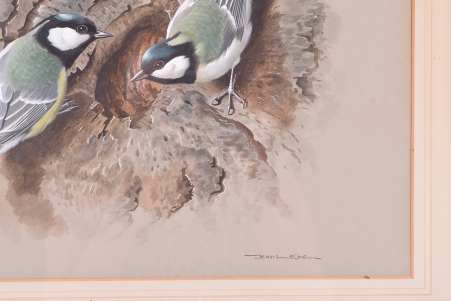 Basil Ede (1931-2016) British 'Great Tits at Nest Site' c.1964, signed lower right, framed. 36cm x - Image 3 of 5
