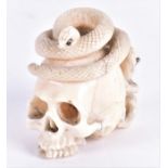 A Japanese Meiji period ivory netsuke carved as a detailed skull with a snake coiling around the