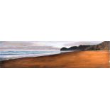 Tina Hart (born 20th century) New Zealand a large coastal landscape, oil on panel, unsigned, 38 cm x