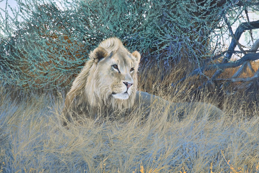 Paul Apps (1958), English depicting a lion in the shade, signed lower right, oil on canvas, within a - Bild 2 aus 4