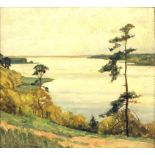 Messerschmidt, Kurt (geb. 1877-?)"Am Wansee", so verso betitelt. Öl/Platte (Altersspuren), li. u.