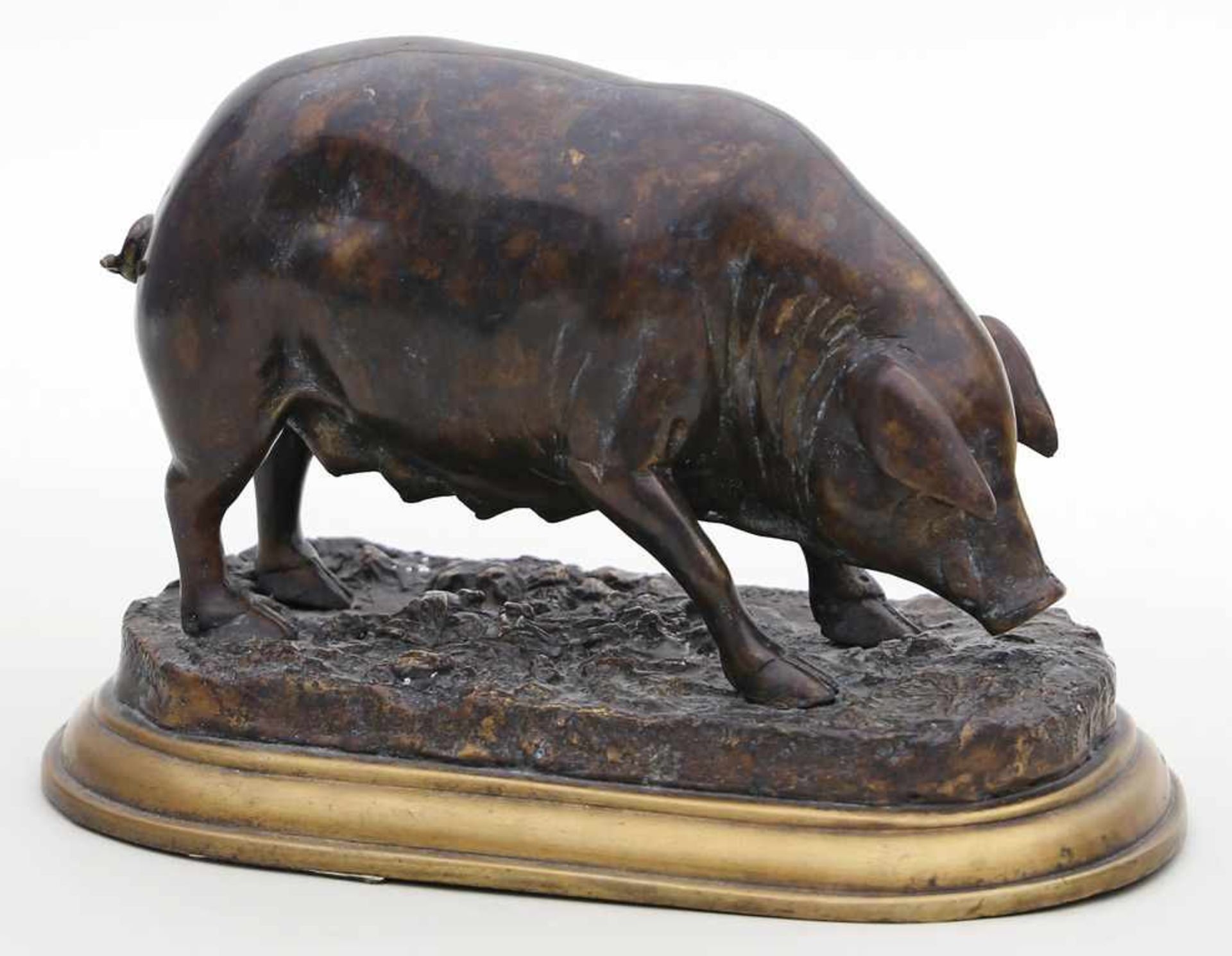 Bronzeskulptur "Schwein",nach Jules Moigniez. Gold-braune Patina. Auf naturalistischer Plinthe sign.