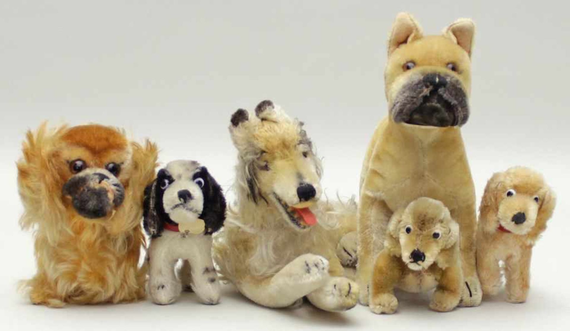 6 Hunde, Steiff.Verschiedene Ausführungen, 1x mit S. Bespielt. L. bzw. H. 10 bis 25 cm.
