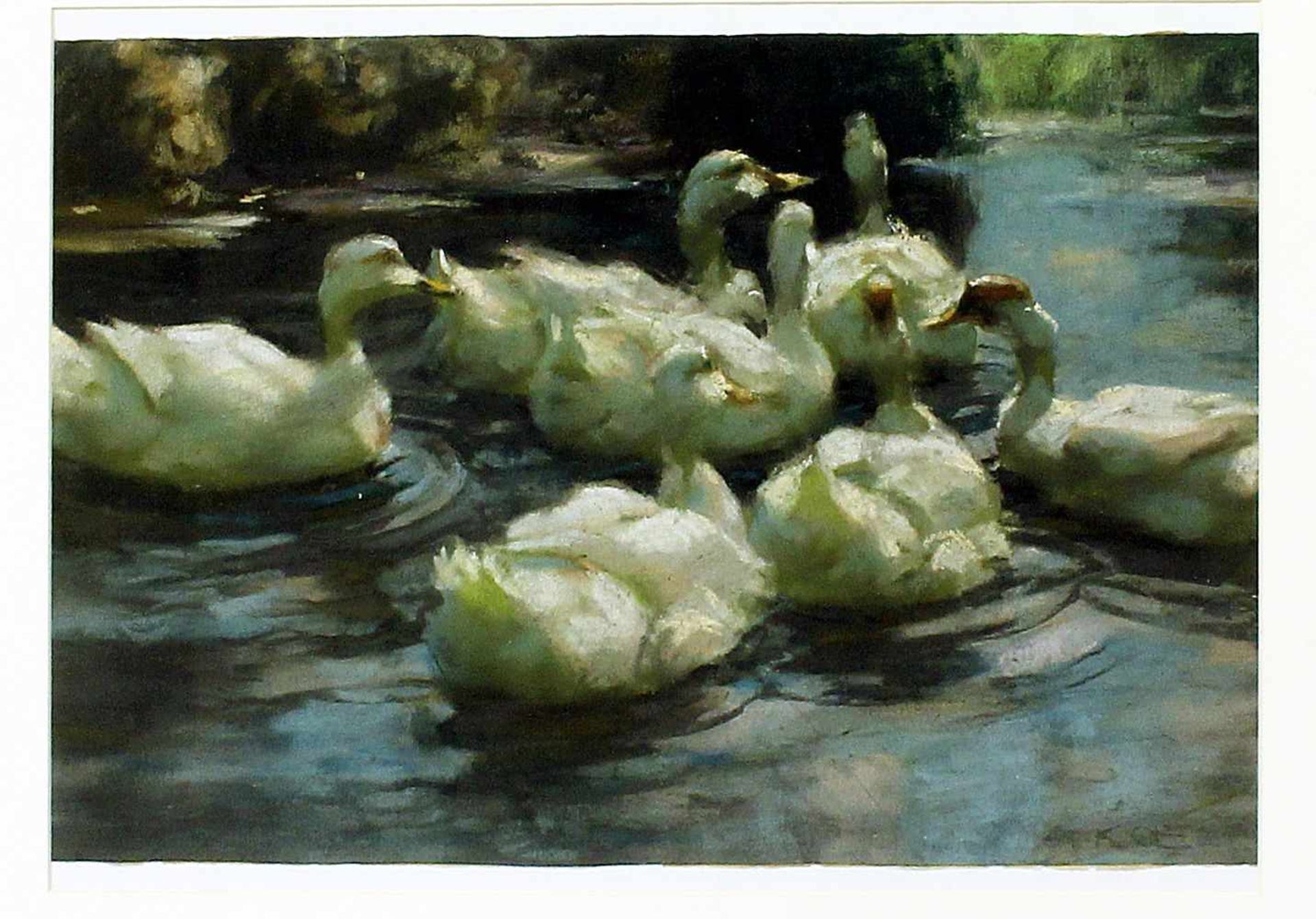 Koester, Alexander (1874 Bergneustadt - München 1932)Sieben Enten an einem Seeufer. Farbige