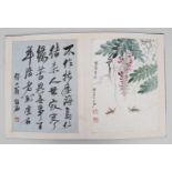 Baishi, QiAlbum mit fünf Insekten-Darstellungen an Pflanzen sowie fünf kalligraphischen Schriften in