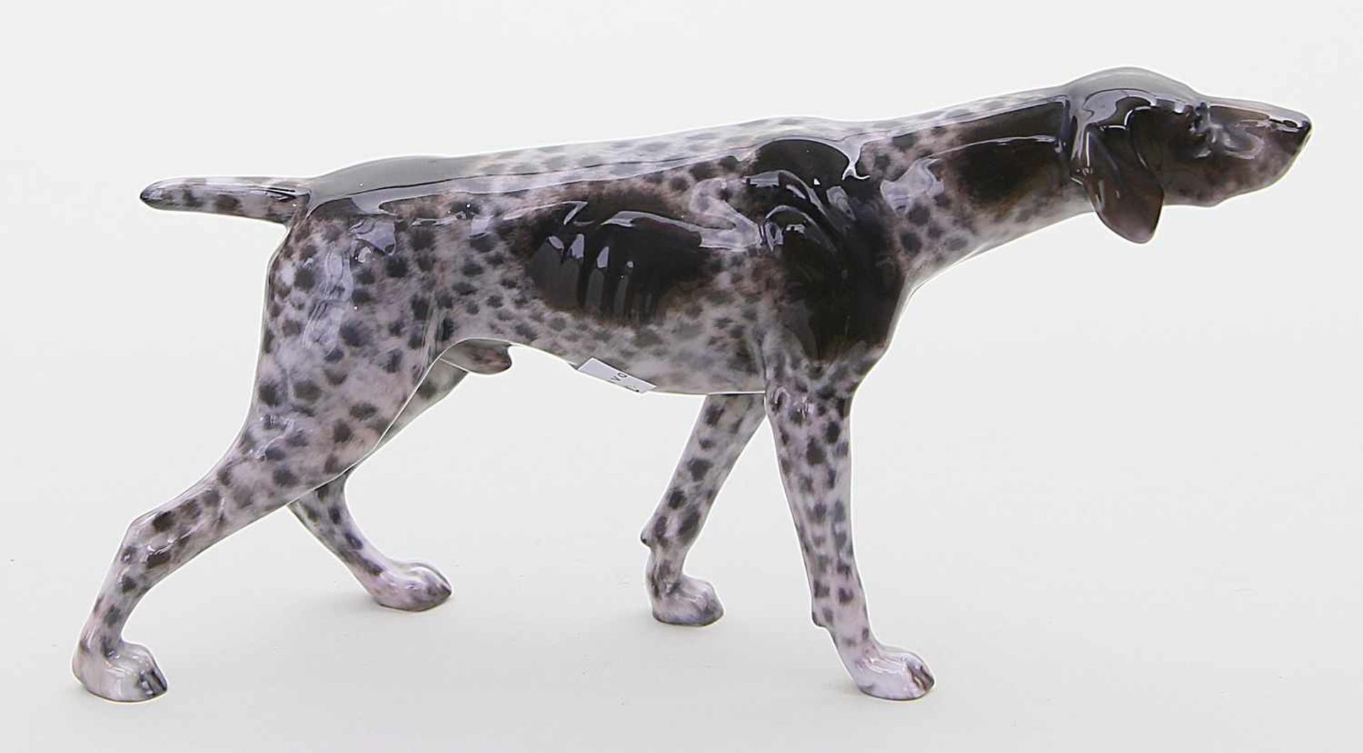 Stehender Vorstehhund.Bunte Unterglasurbemalung. Bauch mit kl. Glasurfehler. Stempelmarke Rosenthal,