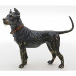 Unbekannter Künstler (Wien, um 1900)Stehender Hund. Bronze mit teils beriebener, polychromer
