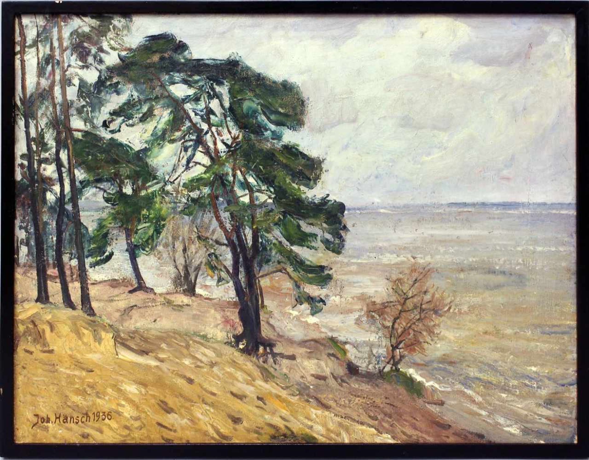 Hänsch, Johannes (1875 Berlin 1945)Küstenlandschaft. Öl/Lwd. (l. Altersspuren), li. u. sign. und