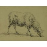 LEBRET, FRANS, onges. t.a., grazend schaap, potloodtekening 8 x 10,5 cm.