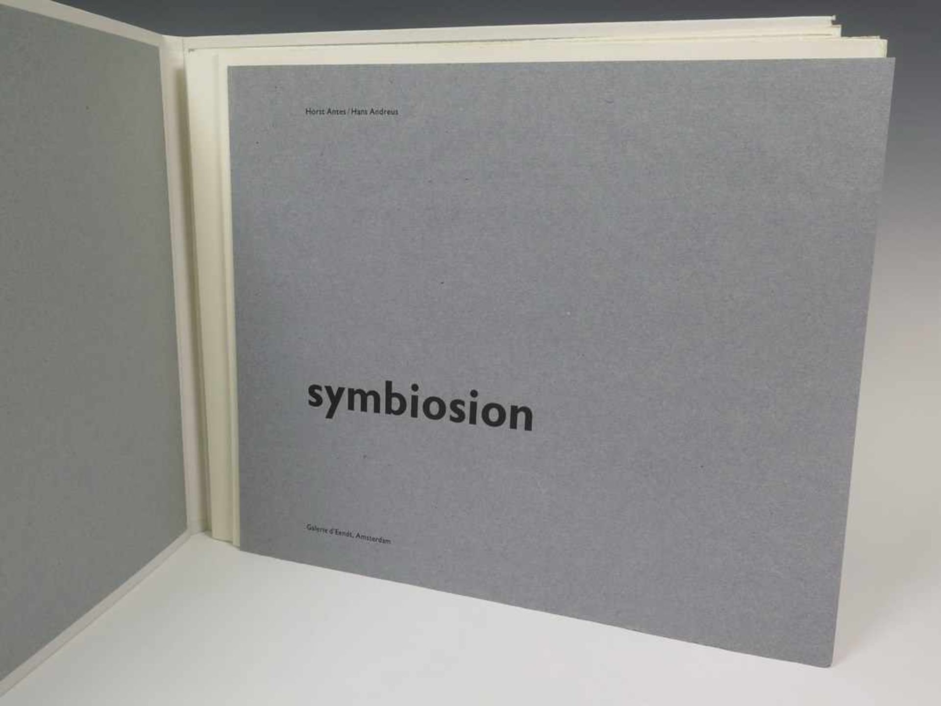 Horst Antes (geb. 1936)'Symbiosion'. Portfolio met tien litho's en tien gedichten door Hans Andreus, - Image 2 of 4