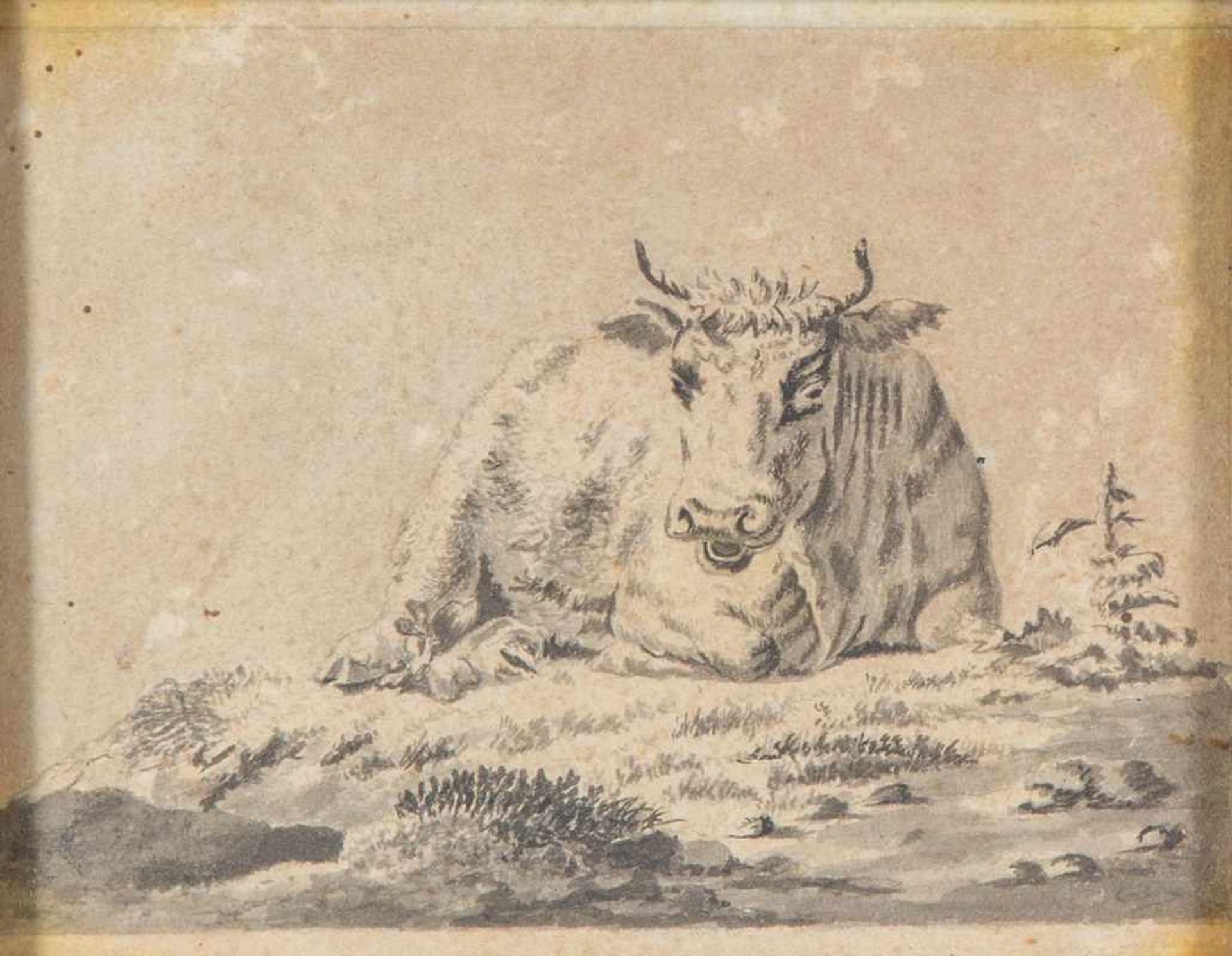 Hollandse schoolRustende koe; tekening; 12 x 14 cm.; 180