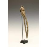 Ivory Coast, Dan, miniture mask with long beak,with layers of offering and rope cord. The beak