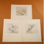 Japan, pagina’s uit Japanse editie van de Chinese Tien Bamboe Studio,19e eeuw, in passe-partout ;