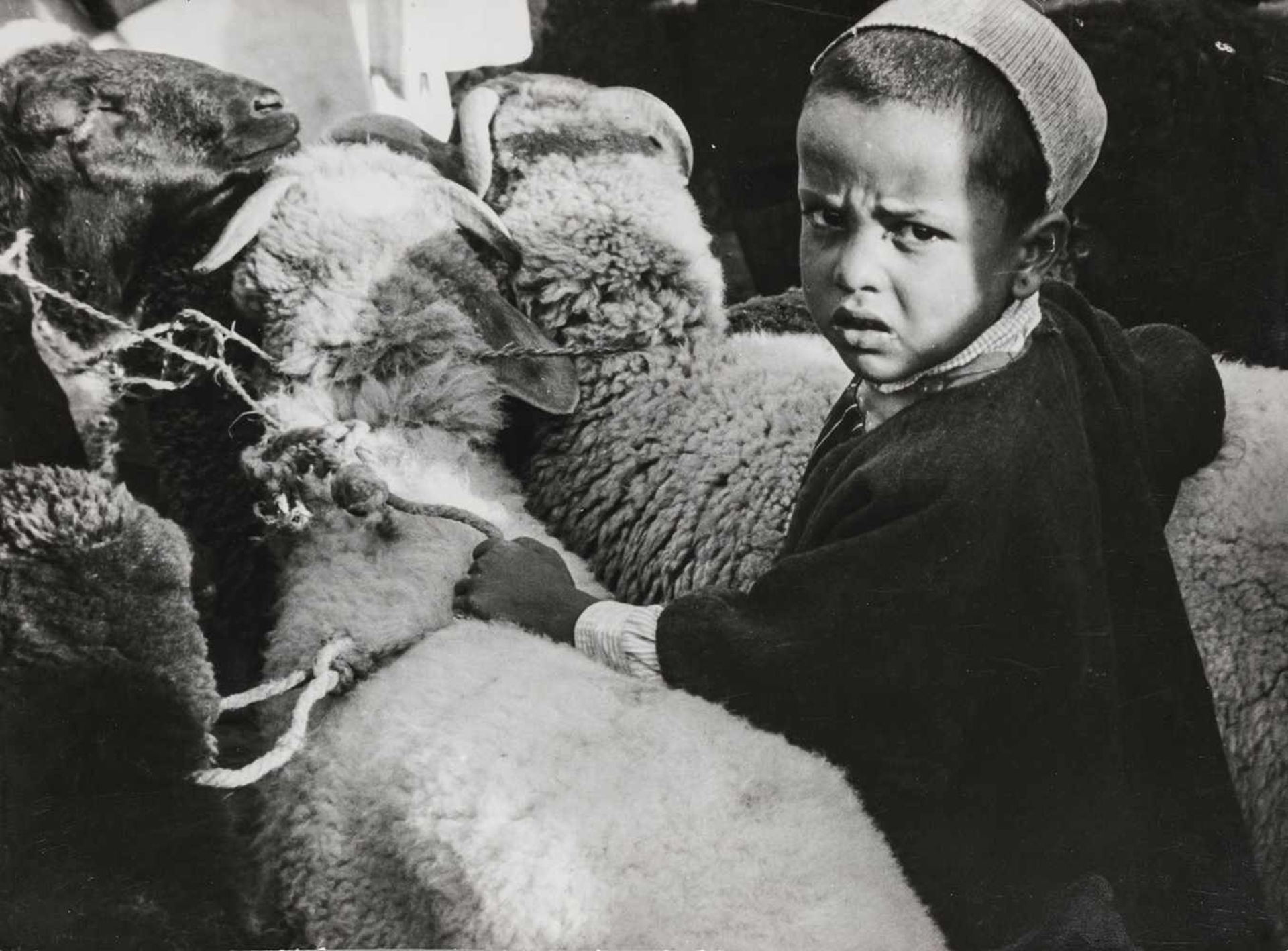 BAUHAUS. – Ré Soupault(1901-1996). Joseph bei den Schafen seines Vaters Israel. Fotografie, 1937/38,