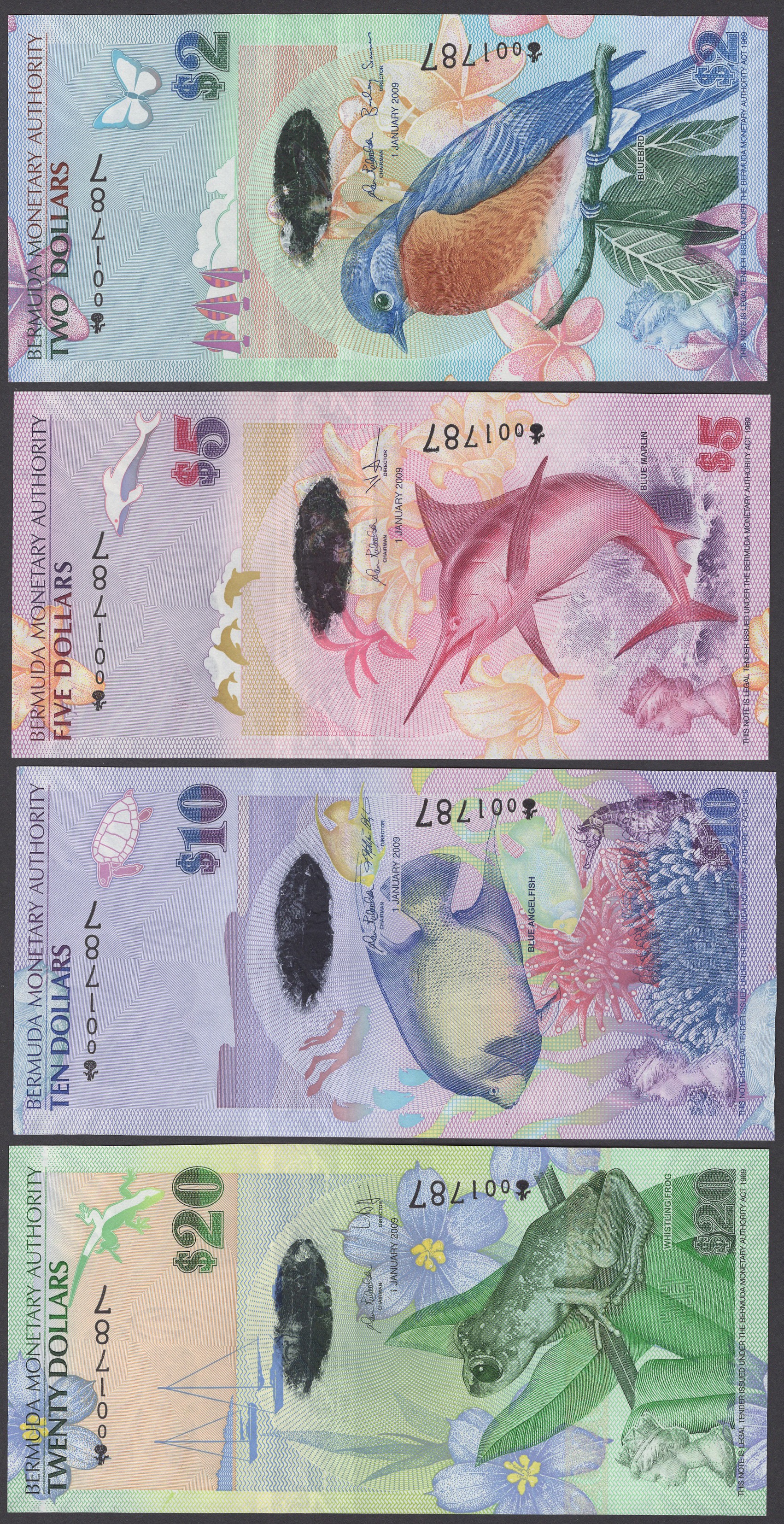 World Banknotes