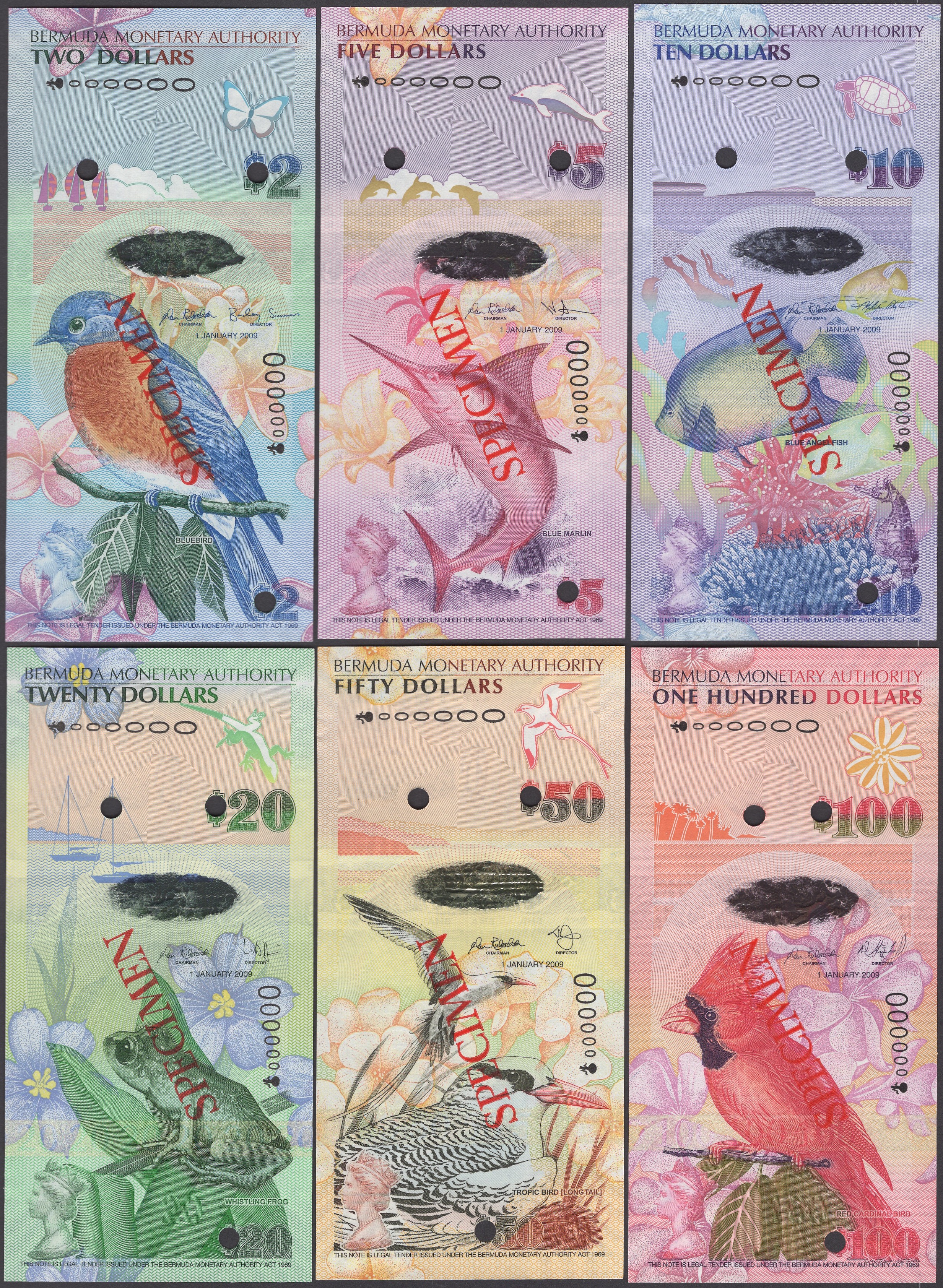 World Banknotes