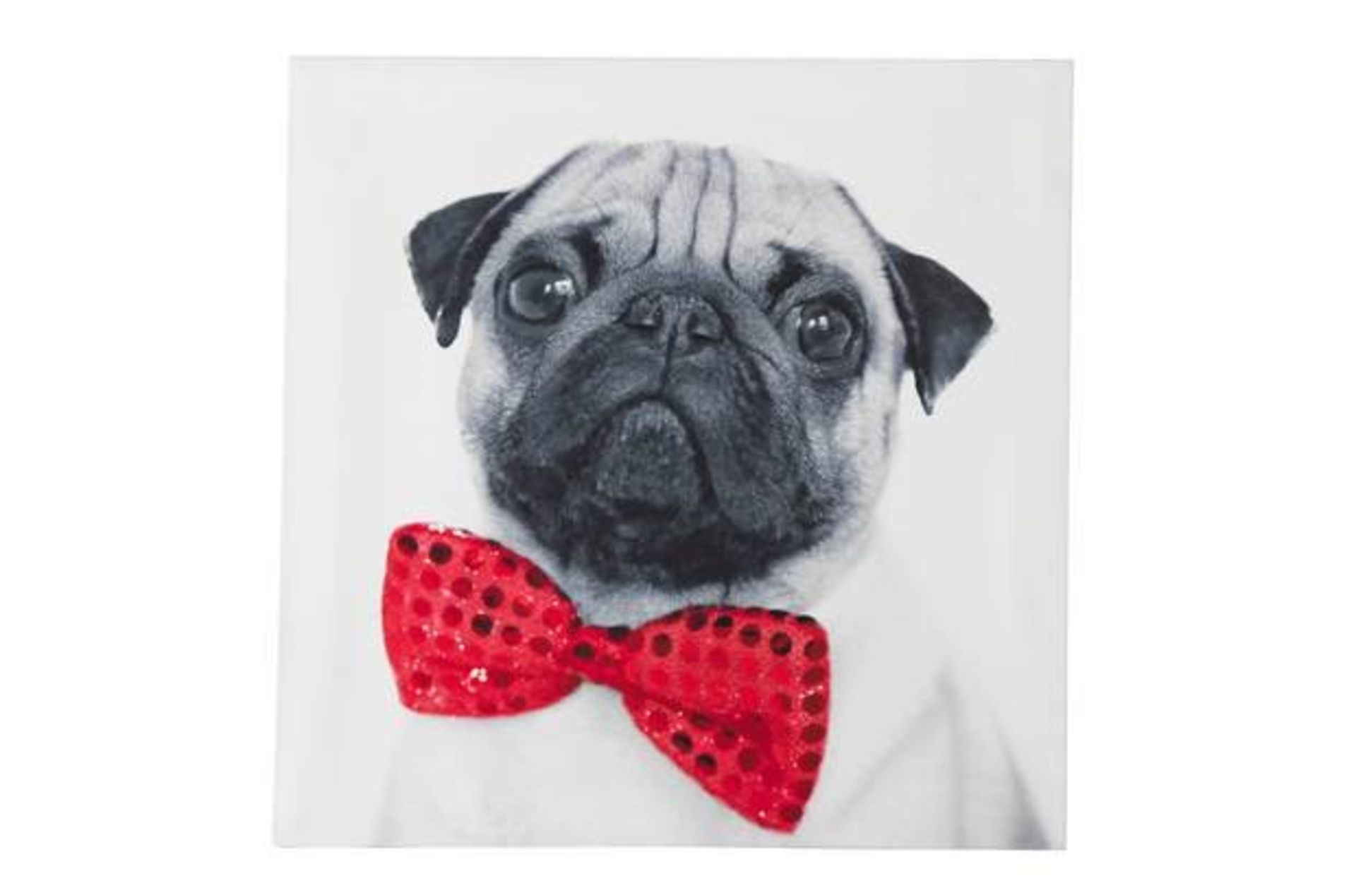 1 BRAND NEW BOXED ARTHOUSE PUG BOWTIE CANVAS WALL ART, 30CM X 30CM / RRP £12.99 (VIEWING HIGHLY