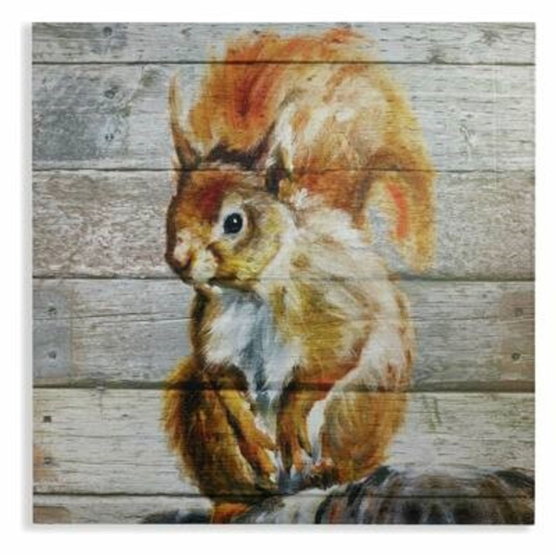 1 BRAND NEW BOXED ARTHOUSE SQUIRREL CANVAS WALL ART, 30CM X 30CM / RRP £17.99 (VIEWING HIGHLY