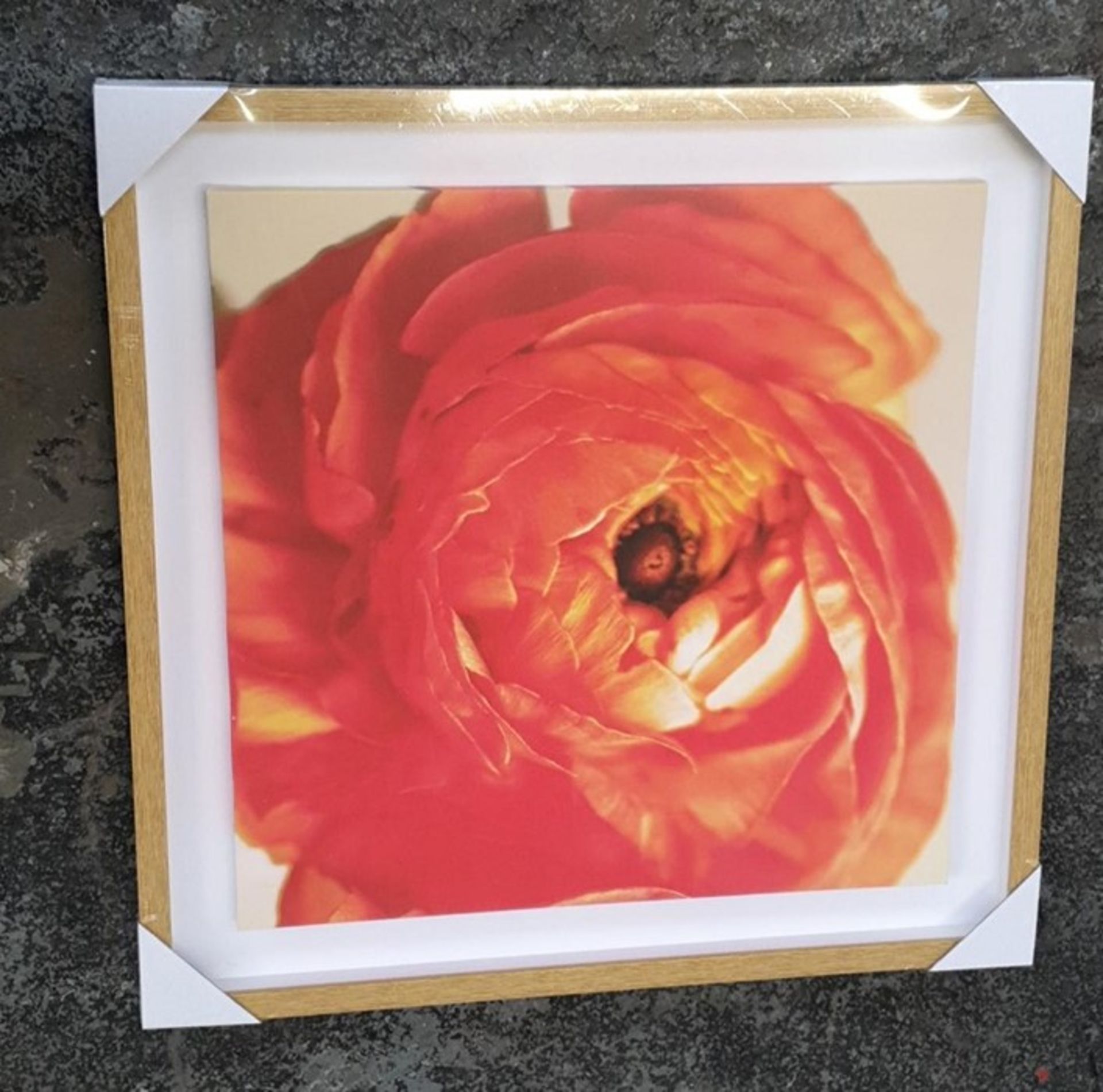 1 AS NEW BOXED ARTHOUSE ROSE CANVAS PRINT - 60CM X 60CM (VIEWING HIGHLY RECOMMENDED)