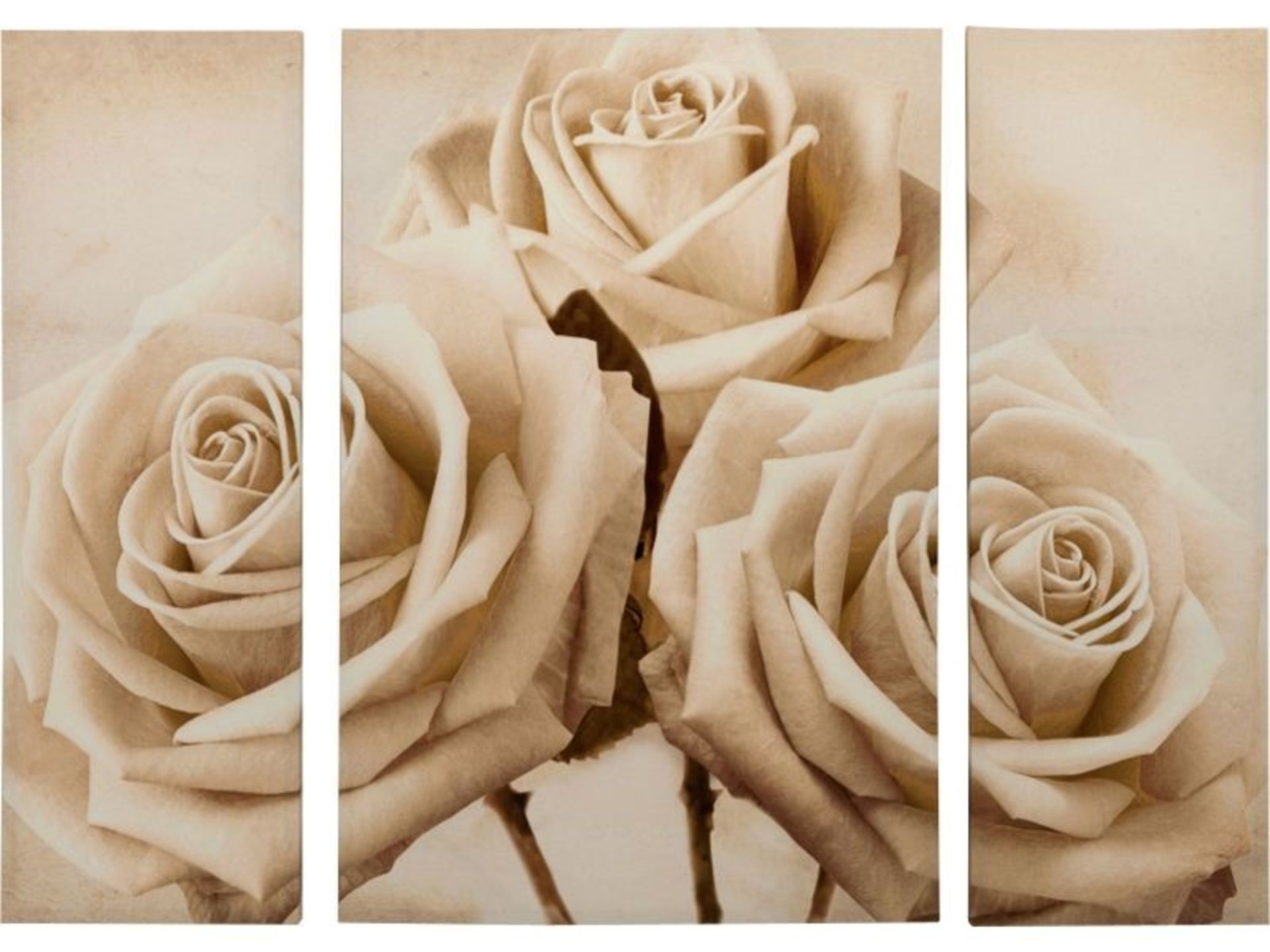 1 AS NEW BOXED ARTHOUSE CHANTILLY ROSE TRIP PRINT CANVAS / SIZE 120 X 90CM / RRP £30.00 (VIEWING