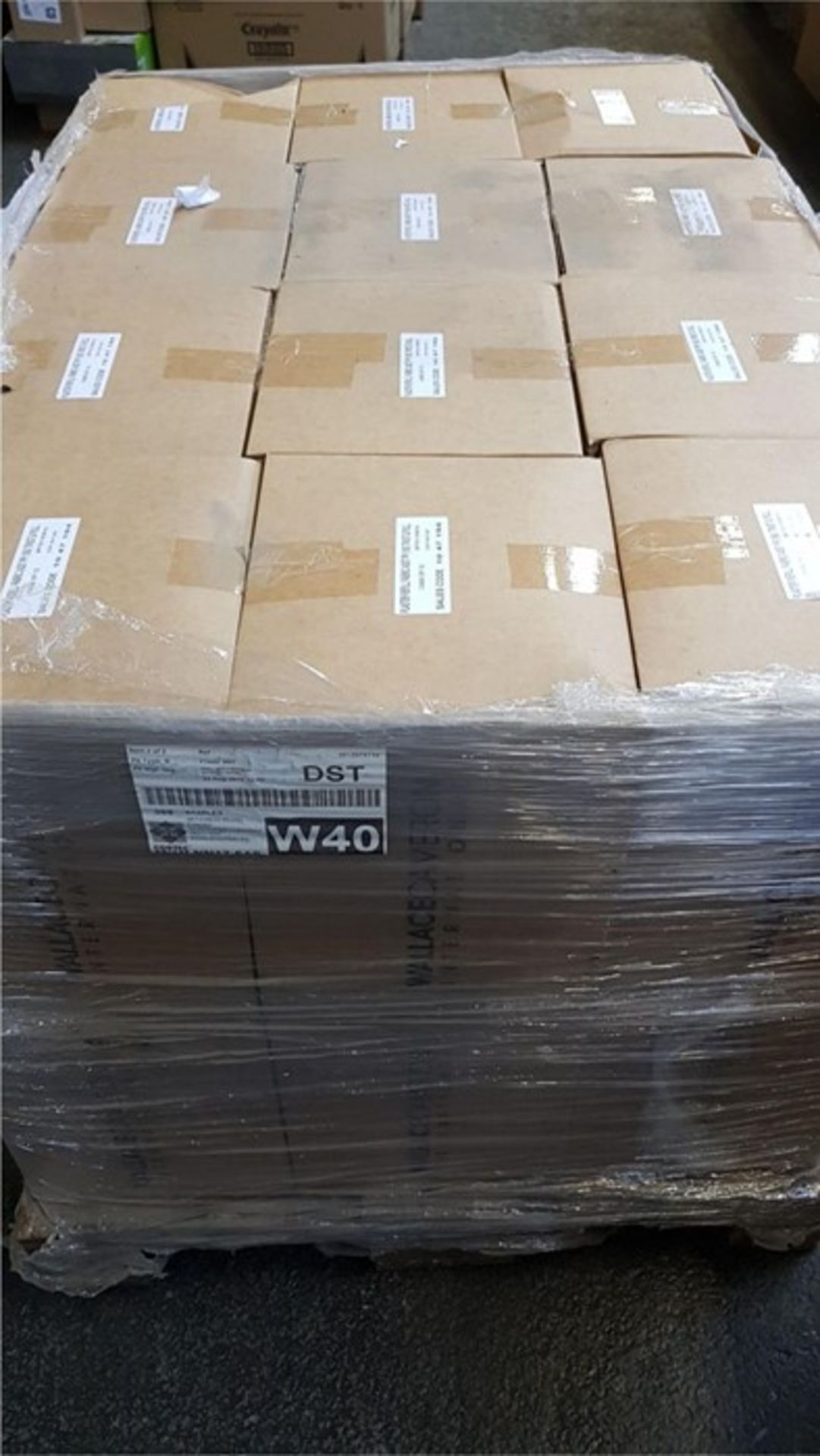 1 LOT TO CONTAIN 264 BOXES OF PULL AND TWIST PLASTERS / PN- 341 / RRP £1895.52 (VIEWING HIGHLY