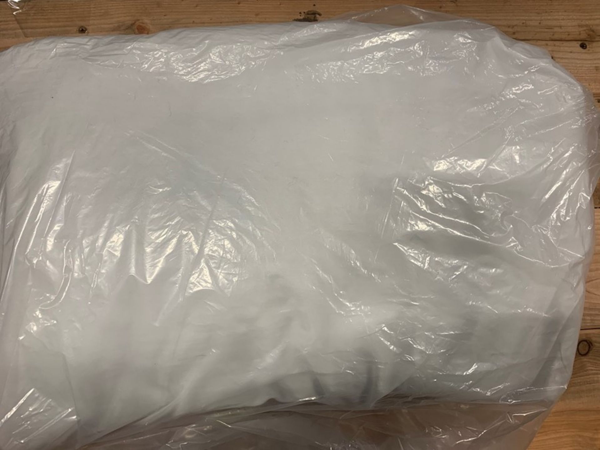 1 BAGGED PILLOW IN WHITE (PUBLIC VIEWING AVAILABLE)