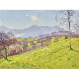 COLOMBI, PLINIORavecchia 1873 - 1951 SpiezLauenental mit Blick auf Niesen, Wild- und Spitzhorn.Öl