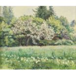 PATRU, ÉMILEGenève 1877 - 1940 AnnemasseWiese mit blühenden Bäumen.Öl auf Leinwand,sig. u.r.,38x46