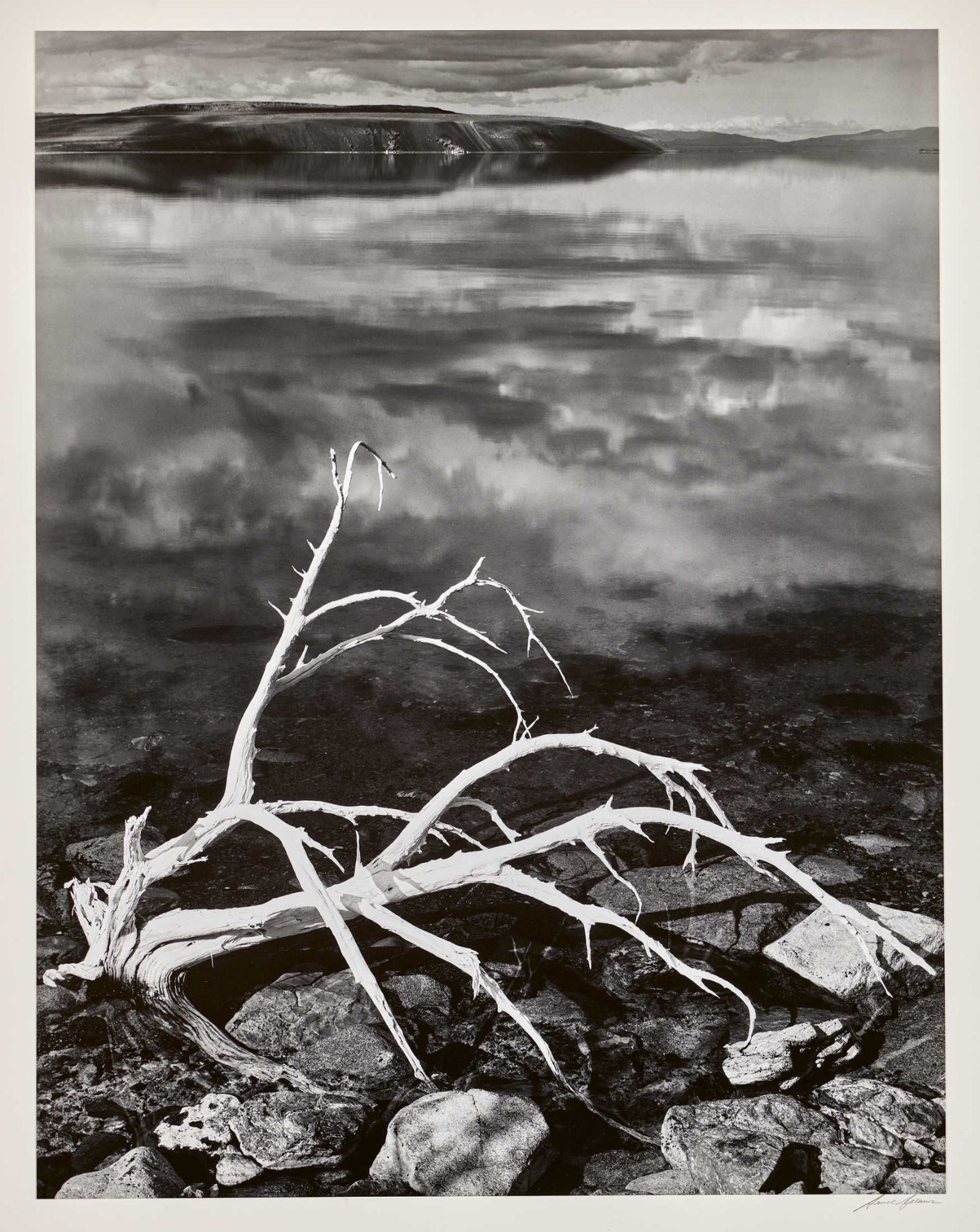 ADAMS, ANSELSan Francisco 1902 - 1984 CarmelWhite Branches, Mono Lake, um 1950.