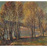 MÜLLER, ALFONSMitlödi 1898 - 1955 BielHerbstliches Bielerseeufer.Öl auf Malkarton,sig. u.r.,41x45 cm