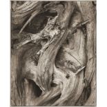 STRAND, PAULNew York 1890 - 1976 OrgevalDriftwood, Gaspe Coast, 1929.Platinabzug,sig. auf