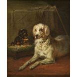 ADAM, BENNOMünchen 1812 - 1892 KelheimZugeschriebenBildnis zweier Hunde.Öl auf Leinwand,27x22