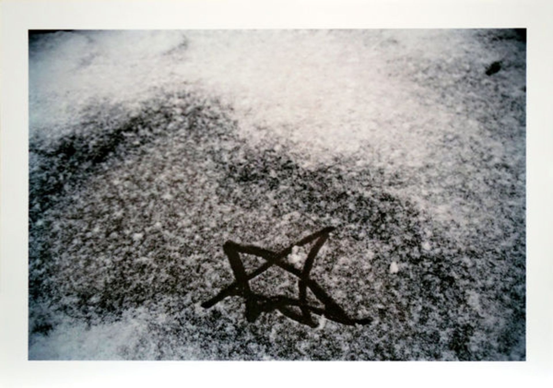 Dahn, WalterFarbphotographie auf Photopapier, 28,1 x 40 cmKleiner Stern im Schnee (2002)Verso