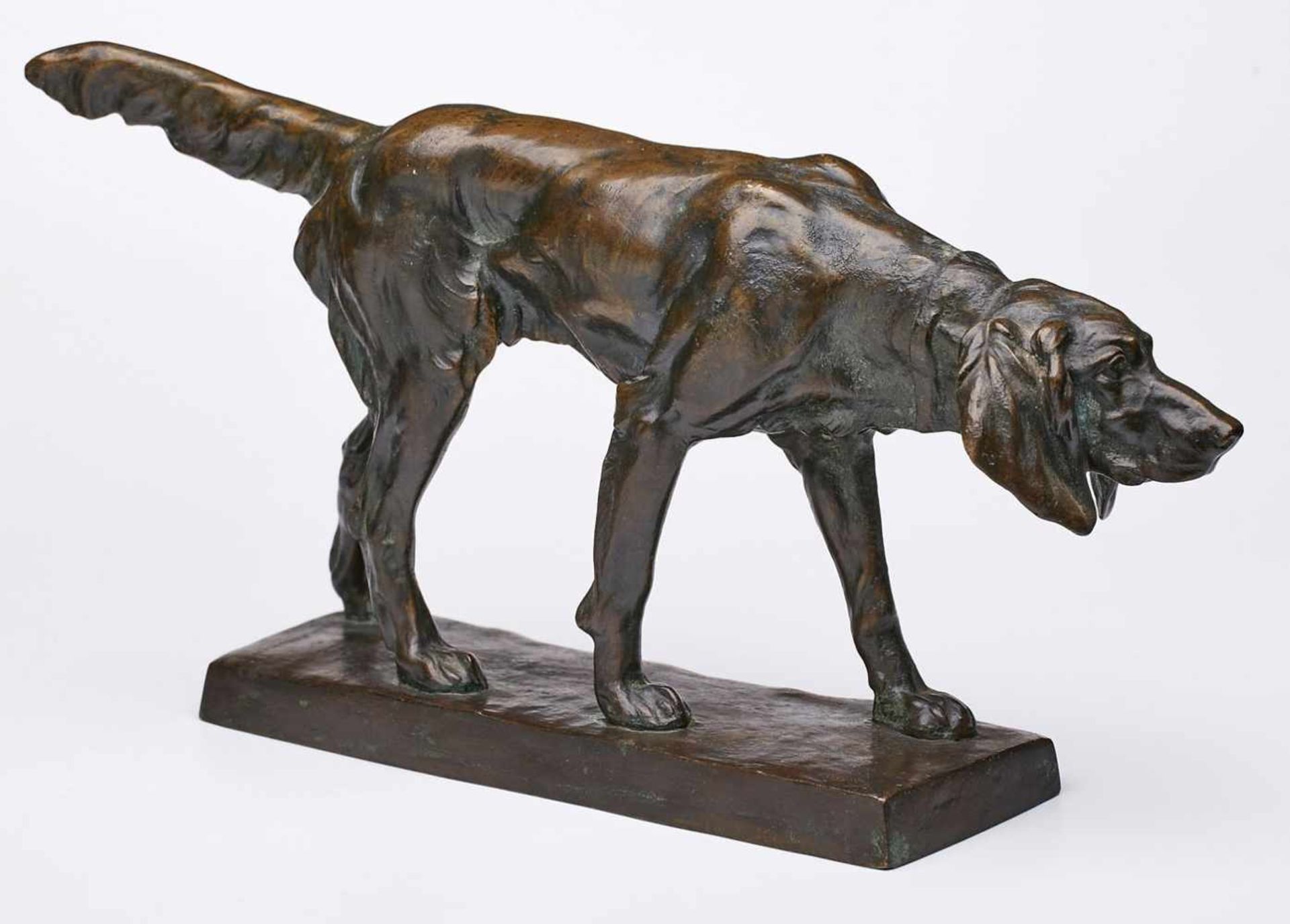 Bronze Joseph Körschgen(1876 - 1937) "Schnüffelder Jagdhund". Hell- u. dunkelbraun patiniert. Seitl.