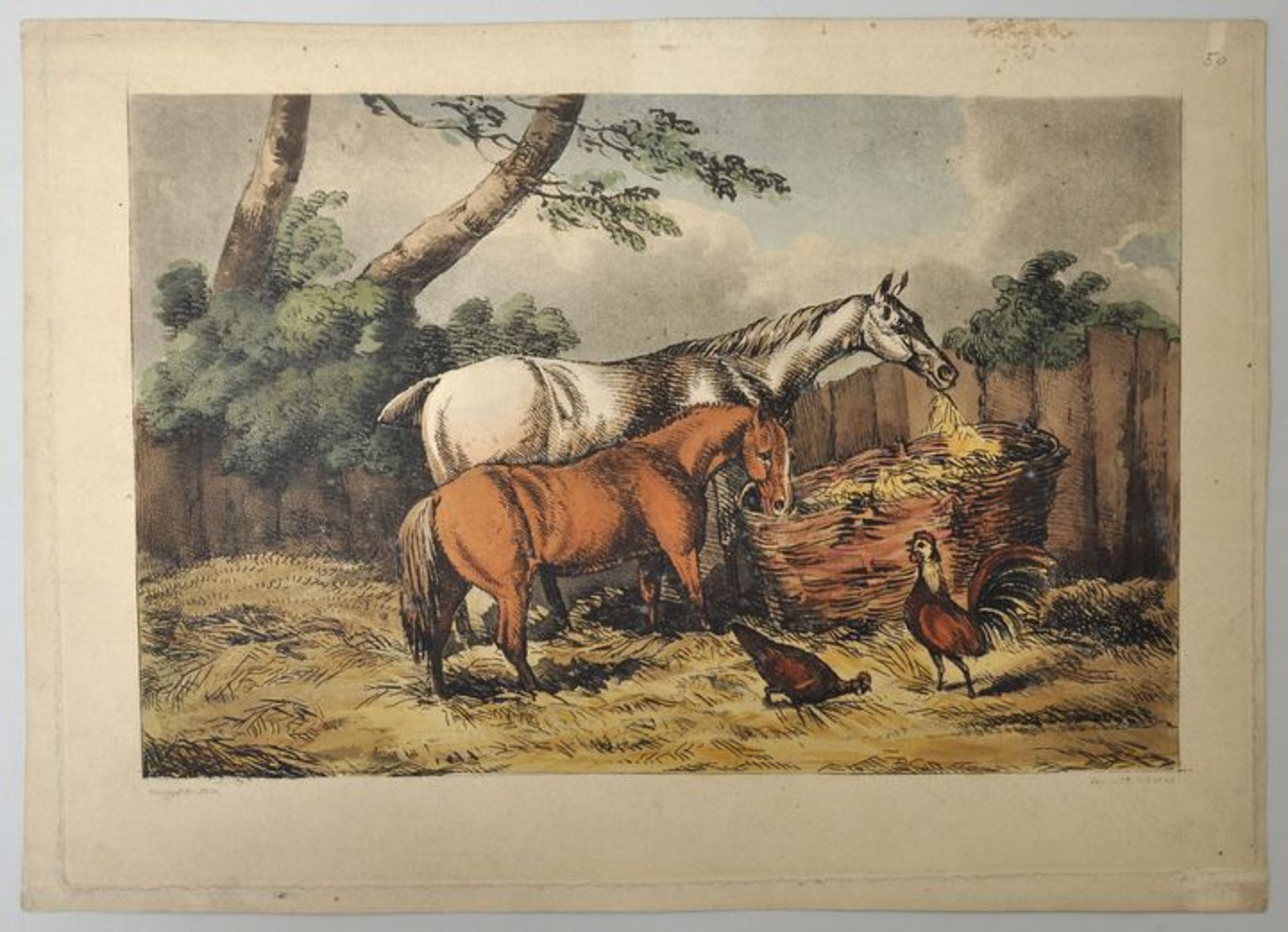 Pferderassen und -pflege. 22 Blatt.Konvolut druckgrafischer Darstellungen einzelner Pferde mit - Bild 4 aus 4