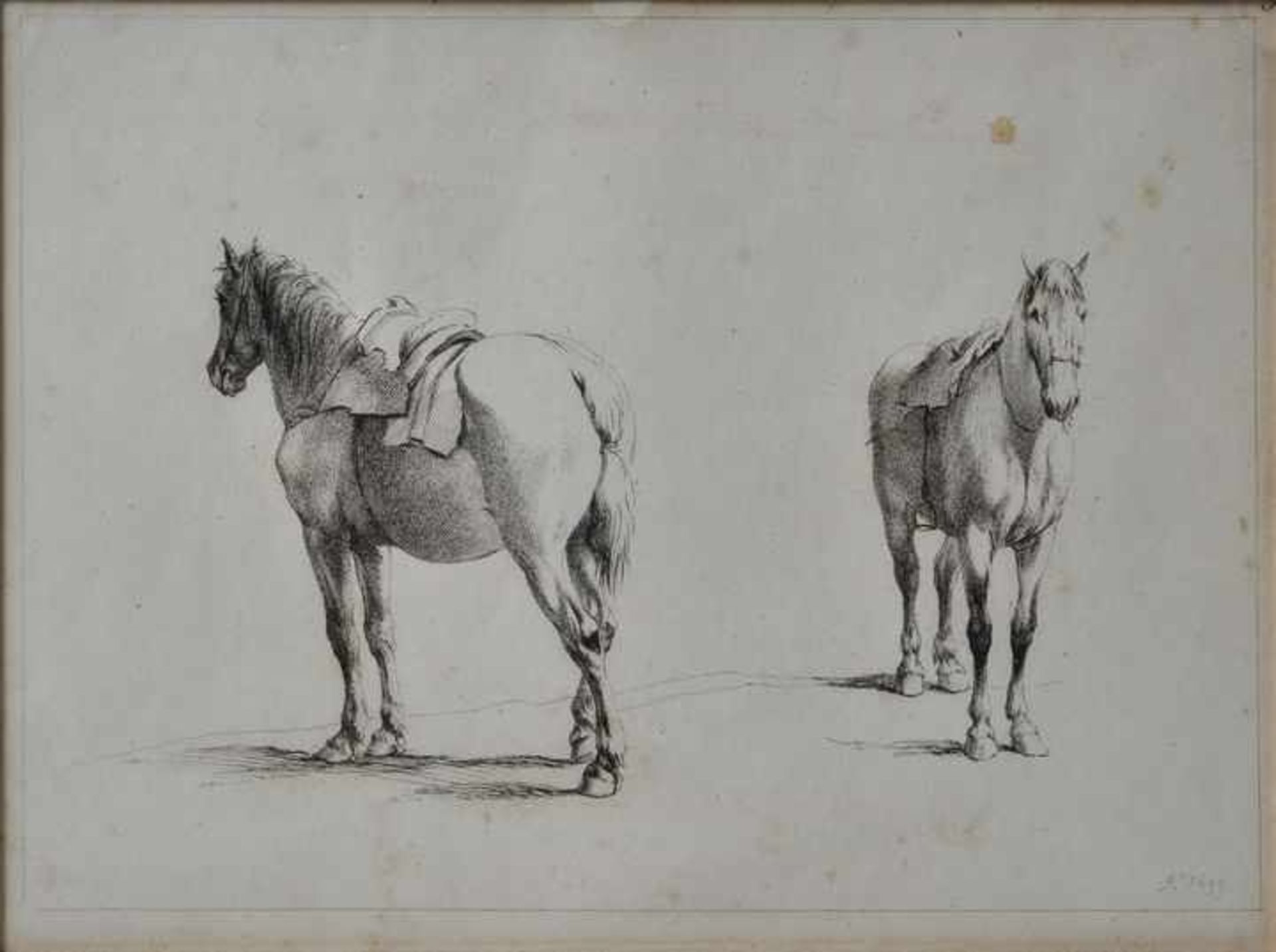 Bartsch, Adam. Wien 1757 - 18214 Bll. Pferdestudien nach G. Ph. Rugendas. Radierungen/ Bütten, - Bild 7 aus 8