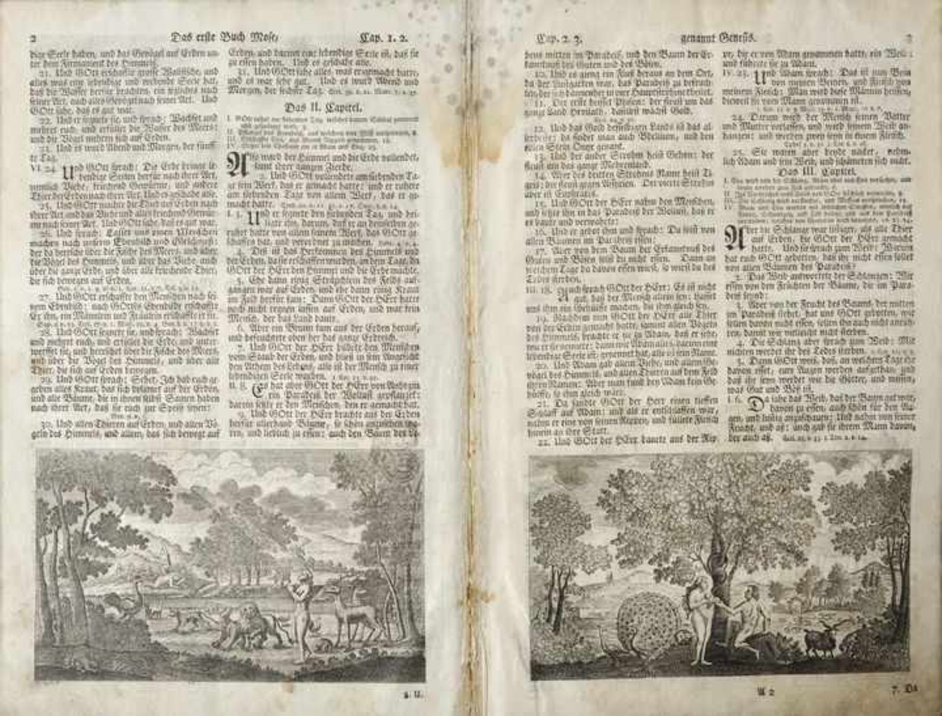 Einzelseiten aus Luther, Martin: Biblia, Das ist: Die gantze Heilige Schrifft Alten undNeuen - Bild 6 aus 8
