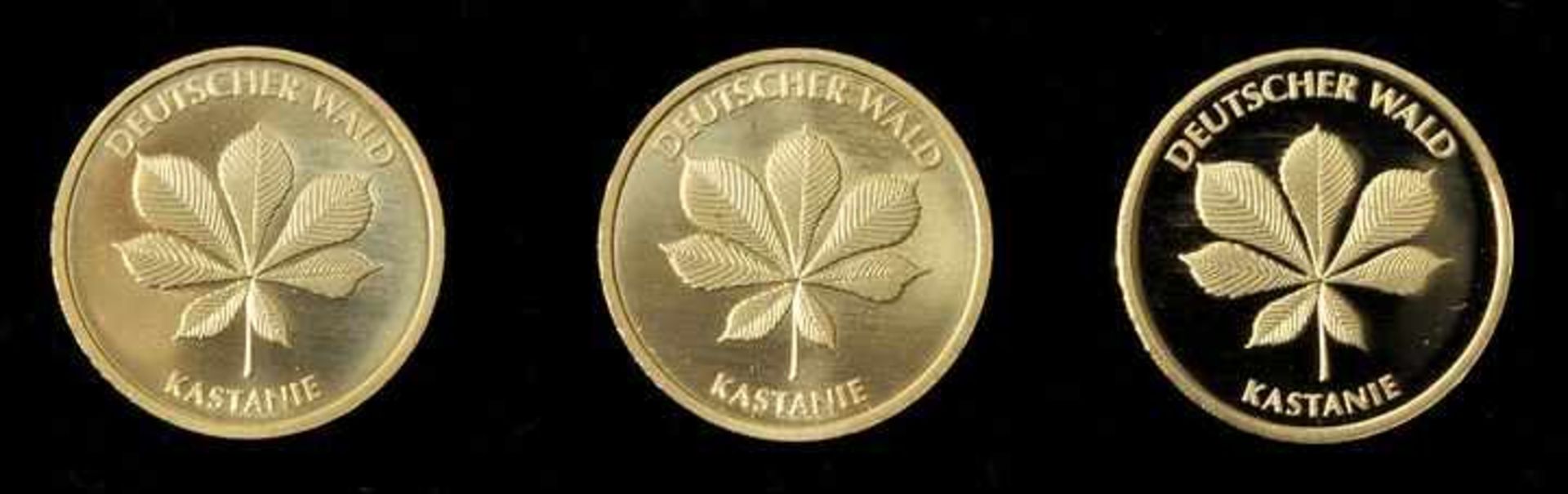 3 x 20 Euro, Gold, BRD, 2014UN Internationales Jahr der Wälder - 5. Ausg., 2014, 999.9er Gold, je