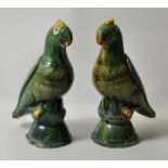 Papageien-Paar als Dachreiter, ChinaKeramik, grün und gelb glasiert (Sancai-Glasur, auch "egg and