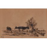 Continental School (20th century) Cattle in a field