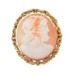 A Victorian shell cameo of Zeus