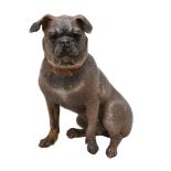 An Austrian painted terracotta model of a seated pug