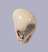 ϒ A Japanese Ivory Netsuke of a grazing horse