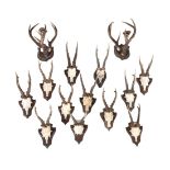 A pair of central European antler and bone mounted wall appliques