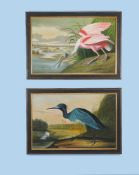 A matched pair of paintings of exotic birds