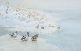 λ George Edward Lodge (British 1860-1954)Ducks at the water's edge