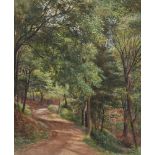 William Henry Millais (British 1828-1899), A woodland pathway
